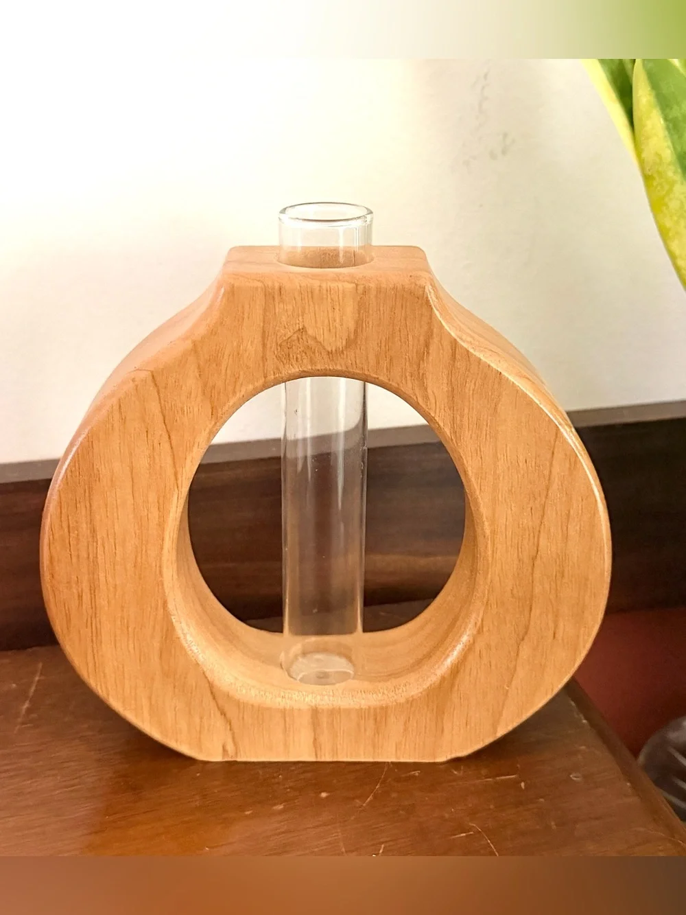 Test Tube Propagation Wood Carved Circle Vase Wall Hanging Shelf Sitting Boho